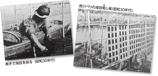 （左）素手で海苔を採る（昭和30年代）　（右）呑川べりの海苔乾（ほ）し場（昭和30年代）