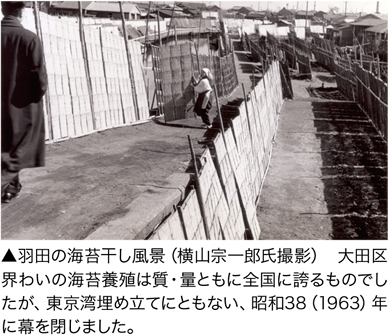 羽田の海苔干し風景（横山宗一郎氏撮影） 大田区界わいの海苔養殖は質・量ともに全国に誇るものでしたが、東京湾埋め立てにともない、昭和38（1963）年に幕を閉じました。