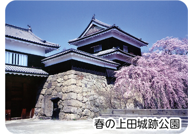 春の上田城跡公園