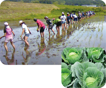 田植え体験と春野菜収穫ツアー