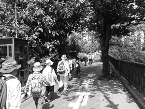 スポーツ健康都市宣言記念事業　OTA ウオーキング～初夏の多摩川沿いを歩く～
