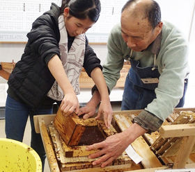 大森の伝統を学ぶ海苔つけ体験