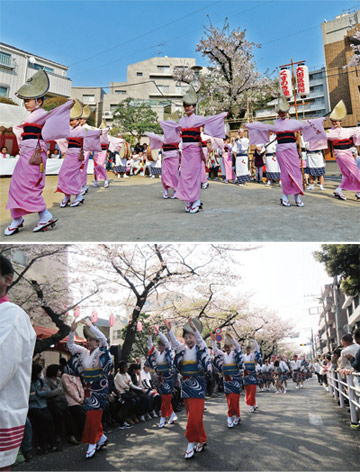 馬込文士村大桜まつり