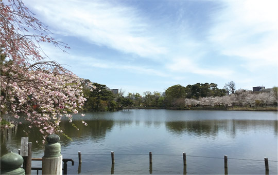 洗足池公園