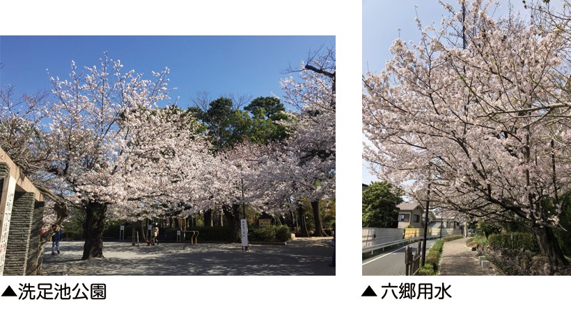 洗足池公園／六郷用水