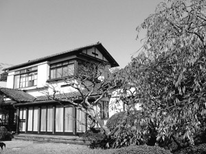 熊谷恒子記念館「期間限定！秋の庭園公開」についての画像