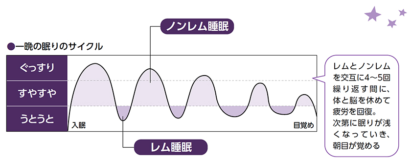 睡眠の仕組みと役割についての画像