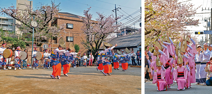 馬込文士村大桜まつりについての画像