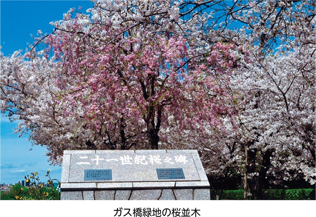 二十一世紀桜まつりについての画像