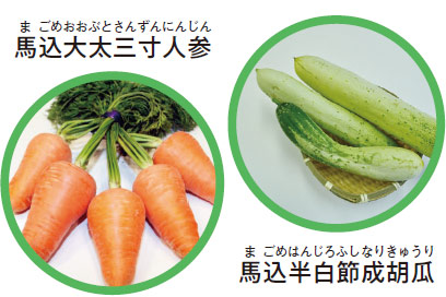 おおたの伝統野菜についての画像