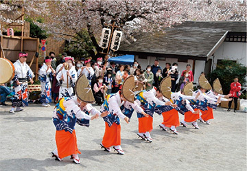 馬込文士村大桜まつりについての画像