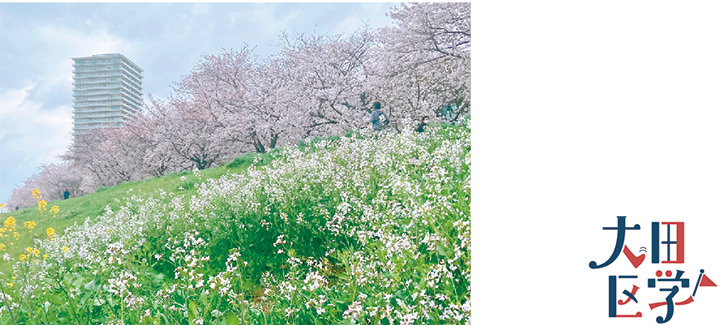 大田区学クイズに挑戦！についての画像