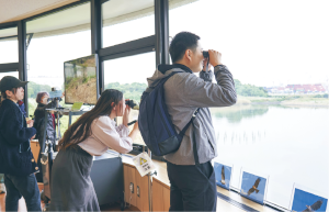 ネイチャーセンターからの野鳥観察についての画像