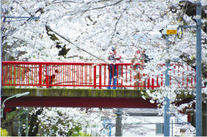 桜坂についての画像