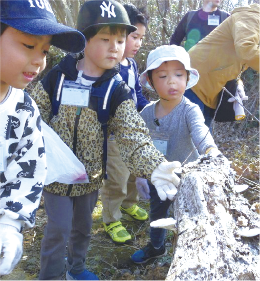 いずこうげん　森のようちえんについての画像2