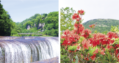 休養村とうぶバスツアーについての画像