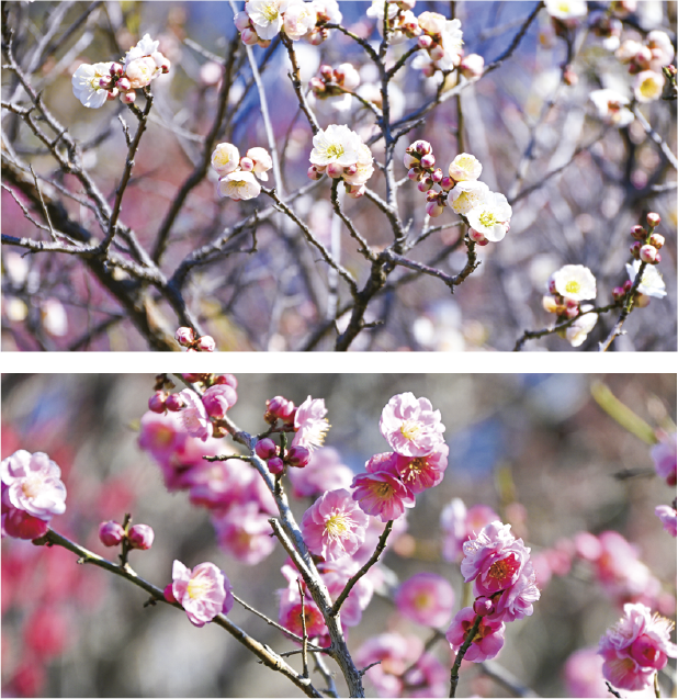 思いのままの画像