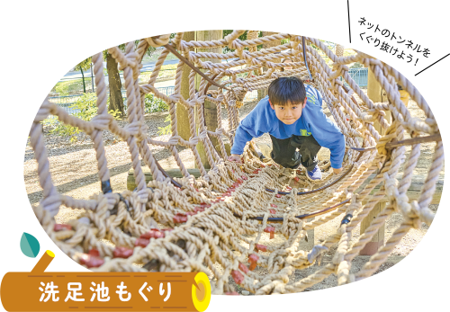 洗足池もぐりについての画像