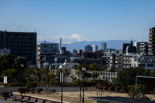 画像：森ケ崎公園