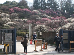 写真：池上梅園