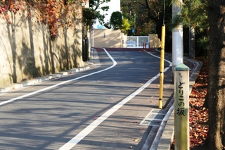 どりこの坂 大田区