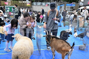 写真：するすみ祭りの様子