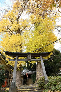 写真：神社の鳥居