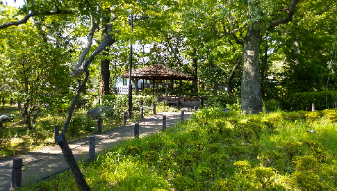 写真：山王草堂記念館