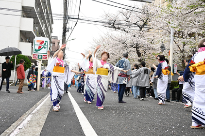 第35回馬込文士村大桜まつりの流し踊り