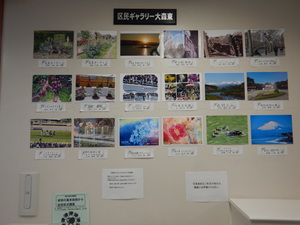 色鮮やかな写真を飾っています。