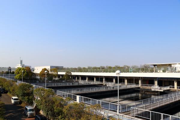 上が森ケ崎公園です