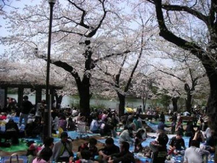 写真：洗足池公園(平成19年)