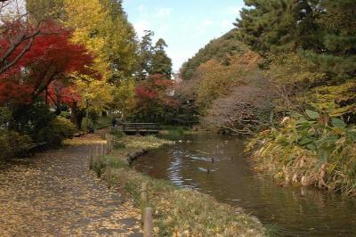 画像：宝来公園