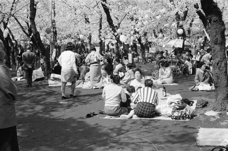 写真：洗足池公園(昭和45年)