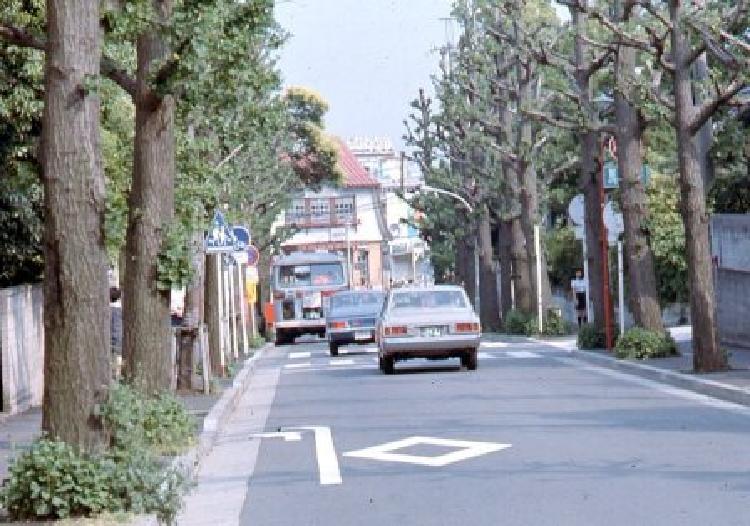 写真：田園調布(昭和54年)