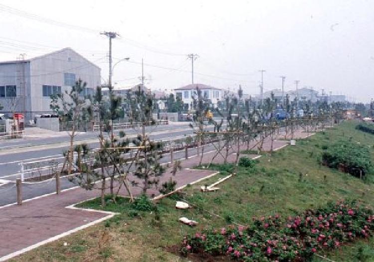 写真：埋立地