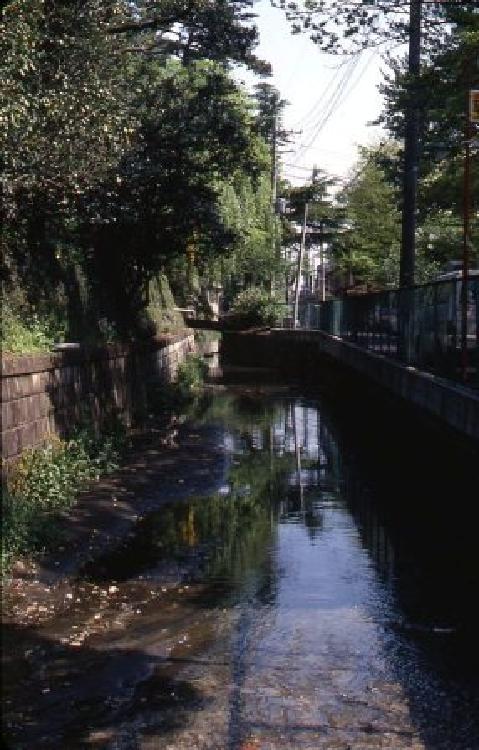 写真：六郷用水