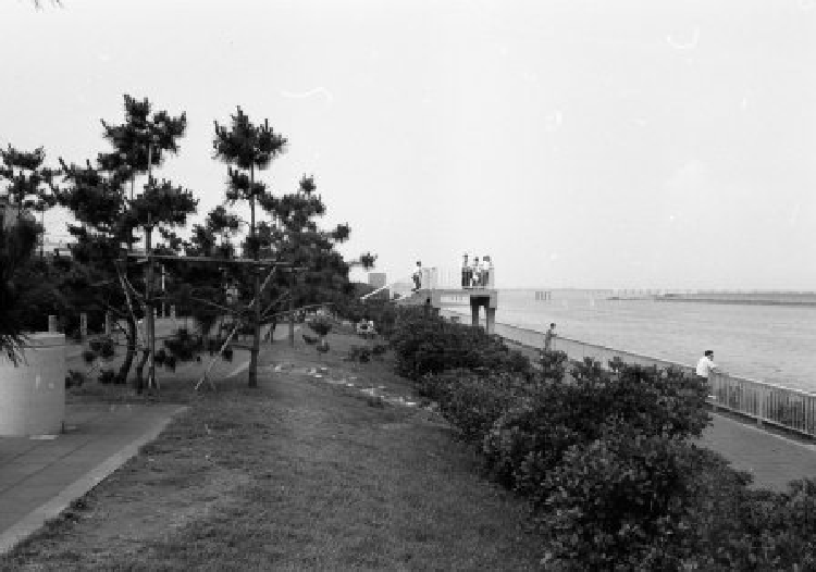 写真：臨海公園