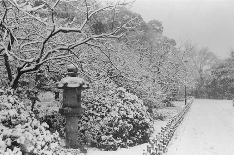 写真：池上梅園(昭和55年)