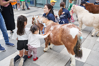 お馬さんとのふれあいイベント