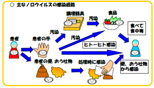 ノロウイルス感染経路