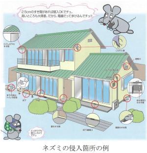 画像：ネズミの侵入箇所の例