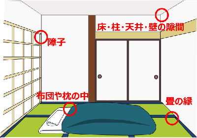 障子、床・柱・天井・壁の隙間、布団や枕の中、畳の縁