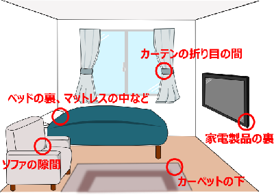 カーテンの折り目の間、ベッドの裏、マットレスの中、ソファの隙間、カーペットの下、家電製品の裏