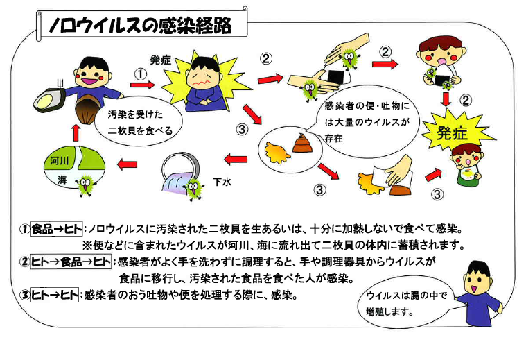 ウイルス 性 胃腸 炎 うつる