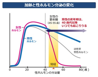 性ホルモン分泌の変化