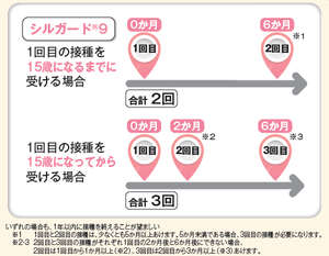一般的な接種スケジュールについて
