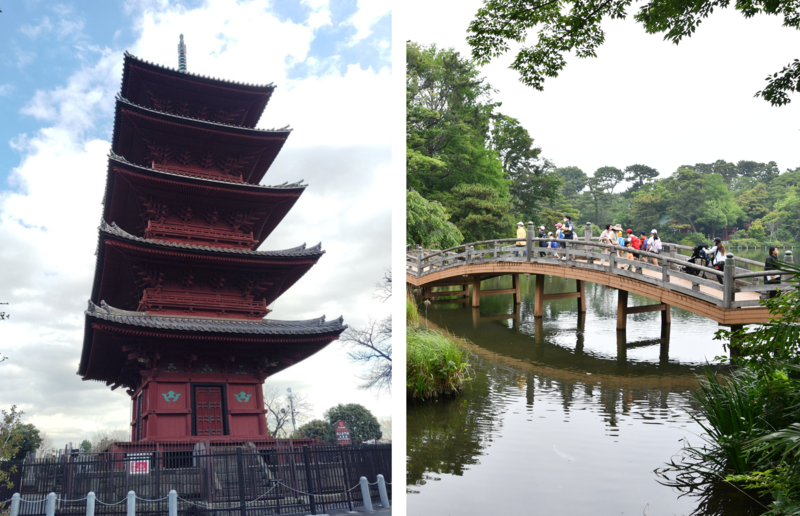 池上本門寺五重塔と洗足池公園池月橋