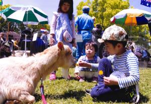 写真：中村　和美さん作「ふれ合い」（平和島公園）