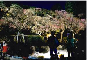 写真：白石　琇朗さん作「夜に賑わう梅園」（池上梅園）